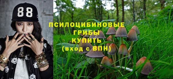 метамфетамин Заводоуковск